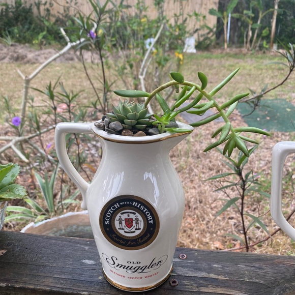 Other - Old Smuggler Ceramic Planter with Succulent